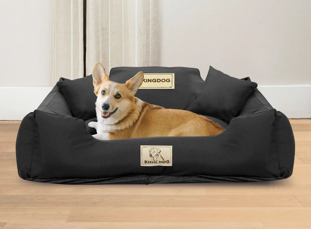 KINGDOG MM43: Il Letto per Cani Più Instagrammabile e Comodo - 7
