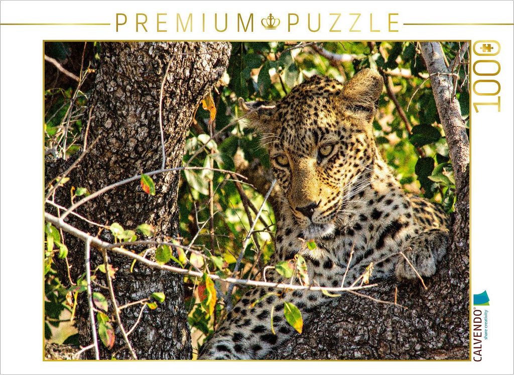 CALVENDO Puzzle Wilder Leopard auf Baum | 1000 Teile Lege-Größe 64x48cm Foto-Puzzle für glückliche Stunden