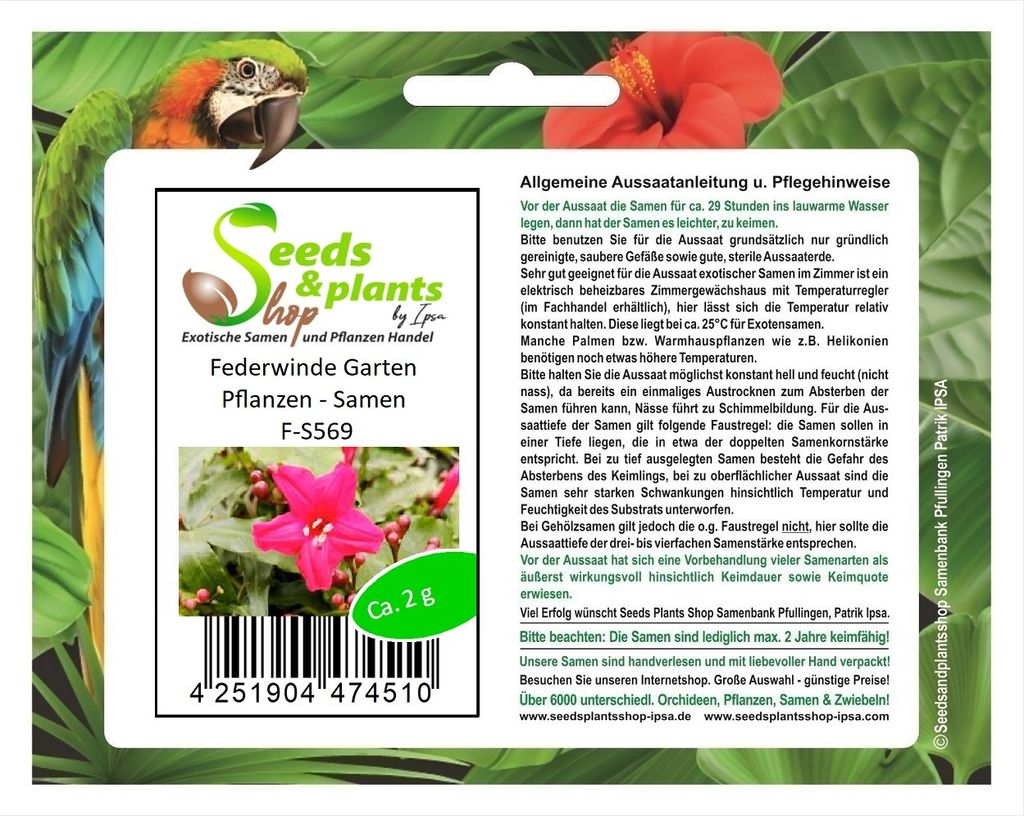 2 g Federwinde Garten Pflanzen - Samen F-S569