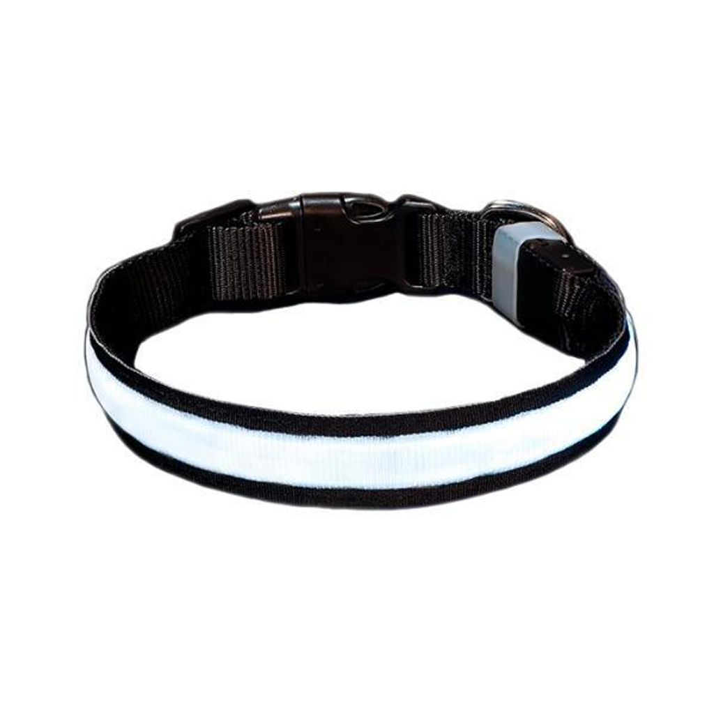 Svítící obojek pro malé psy, obojek pro kočky s kabelem USB Obrázek produktu 