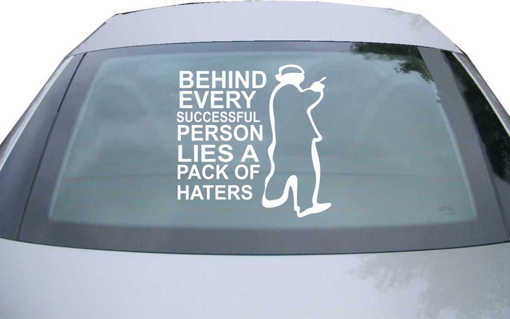 Indigos UG - Aufkleber Heckscheibe & Motorklappe DE6015 - weiß - 600x328 mm - behind every Successful person Lies a pack of haters - Auto Scheiben...