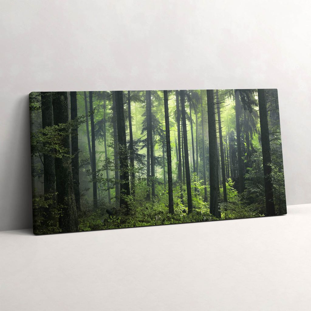 Landschaft mit Bäumen und Waldvegetation – Leinwandbild Wandbild – 100x50 cm – Leinwandbilder – Wandbilder – Schlafzimmer – Flur
