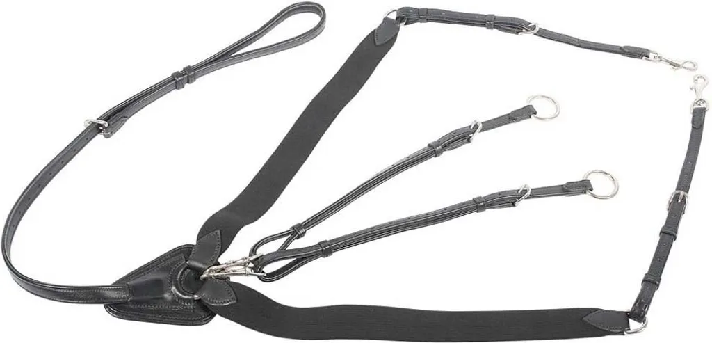 Empêchez la Selle de Reculer avec le Collier de Chasse Noir Full