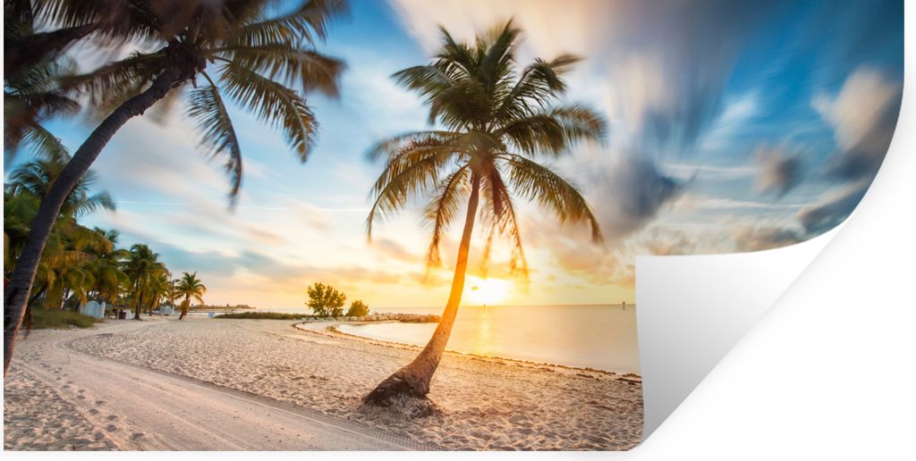 MuchoWow Wandtattoo Wandsticker Wandaufkleber Sonnenuntergang - Strand - Palme 120x60 cm Selbstklebend und Repositionierbar - Sticker - Dekorfolie