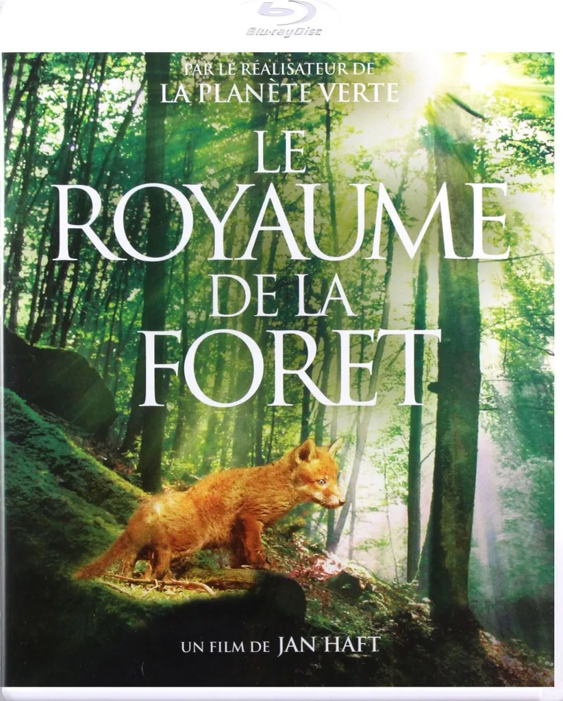 Explorez Le Royaume De La Forêt Blu-Ray : La Meilleure Qualité sans Latence