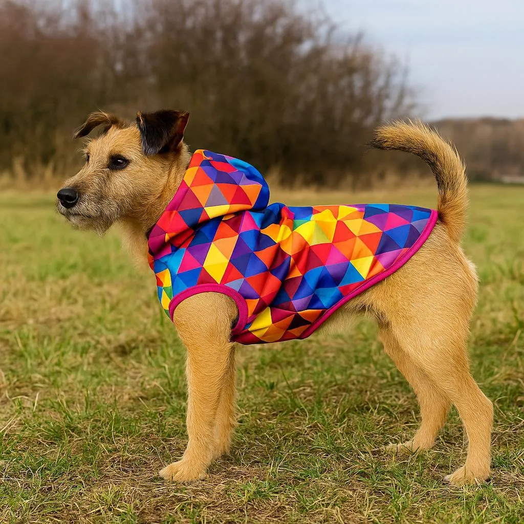 Giacca Invernale per Cani XL NTED - Softshell Termico e Impermeabile - 4