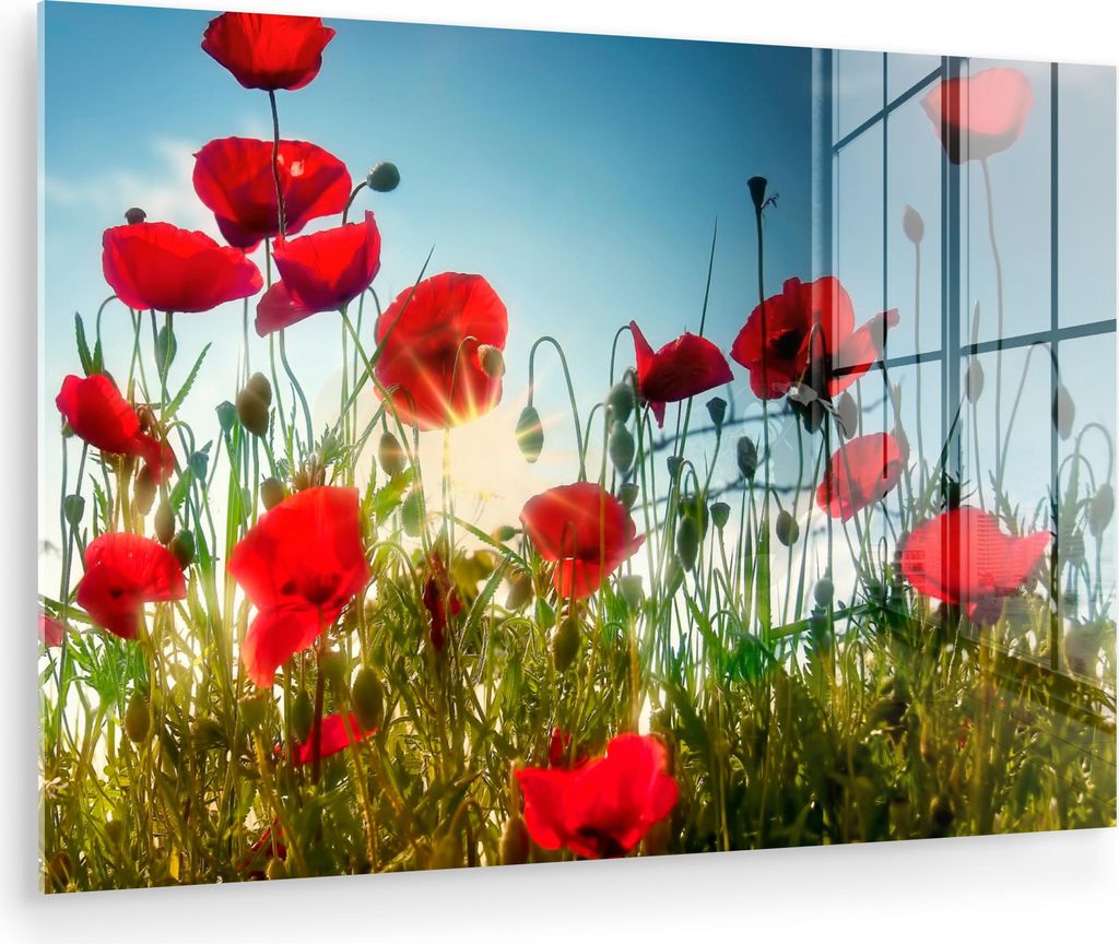 MuchoWow Glasbilder - Bilder auf Wandbild - Foto auf Glas Mohnblumen - Toskana - Sonne - Rot - Blau 120x80 cm Wanddekoration aus Glas - Acrylglasbi...