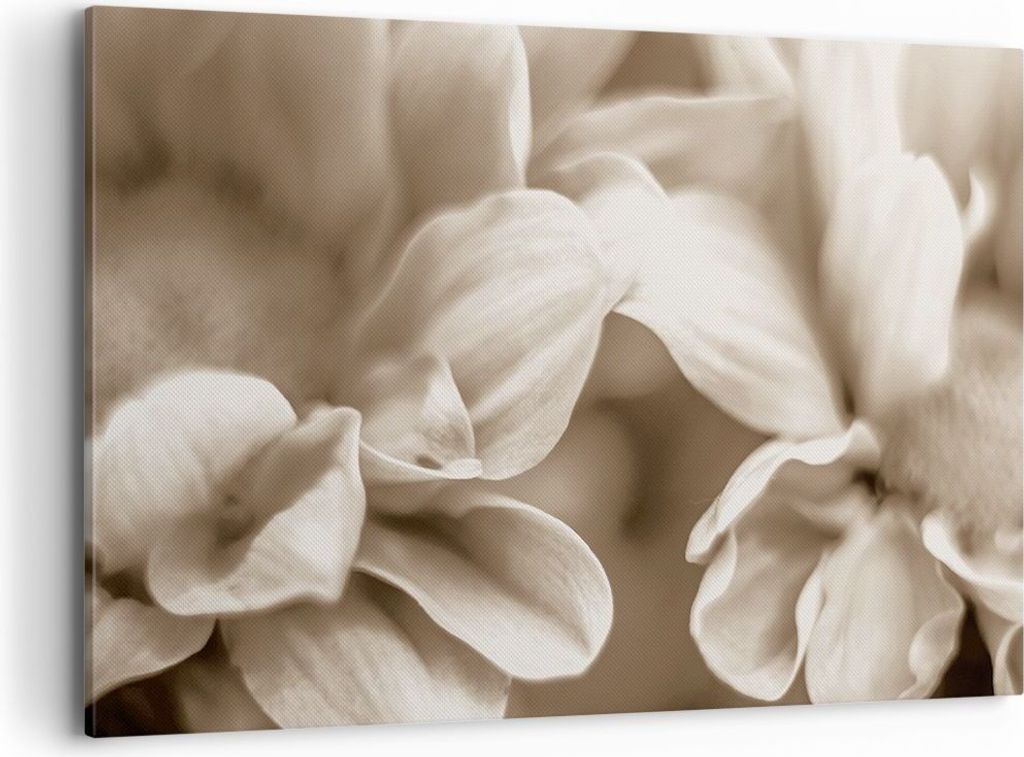 Bild auf Leinwand - Leinwandbild - Einteilig - Blumen Boho Produktbild 