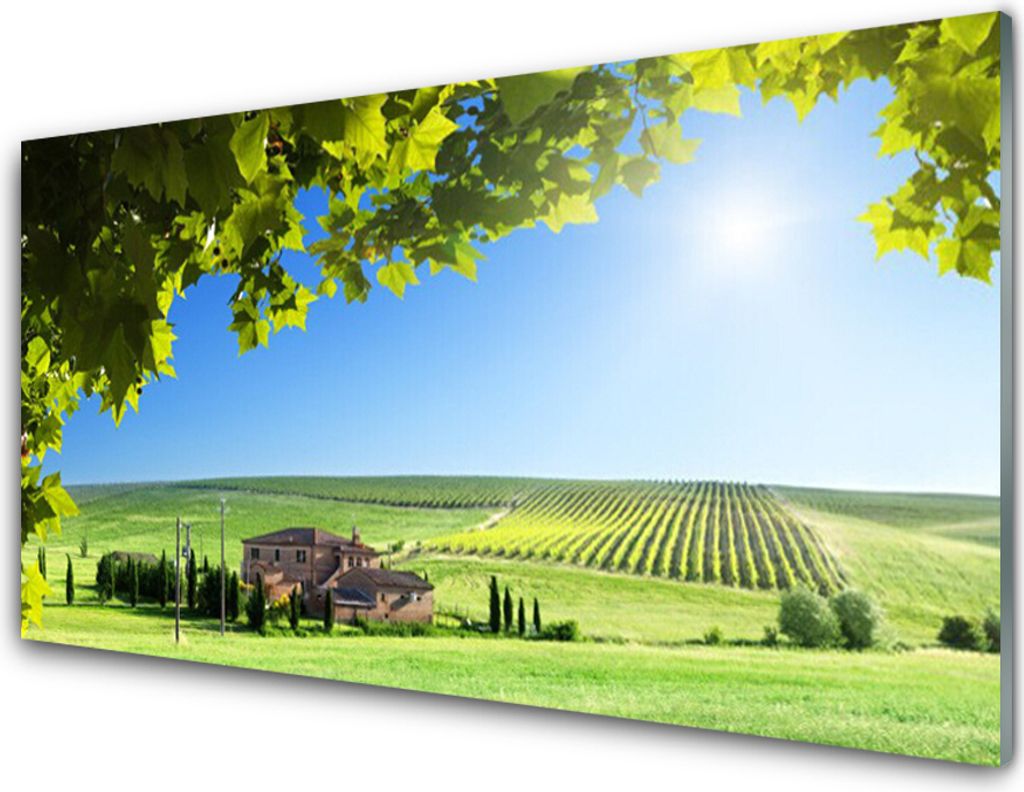 Acrylglasbilder 100x50 Wandbild Druck Ackerfeld Blätter Landschaft