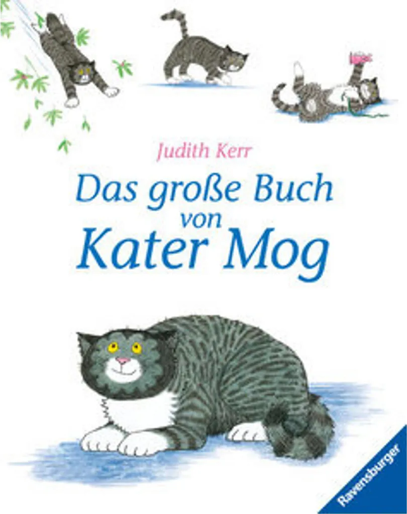 Livre enfant allemand Kater Mog - Idéal pour l'apprentissage ludique