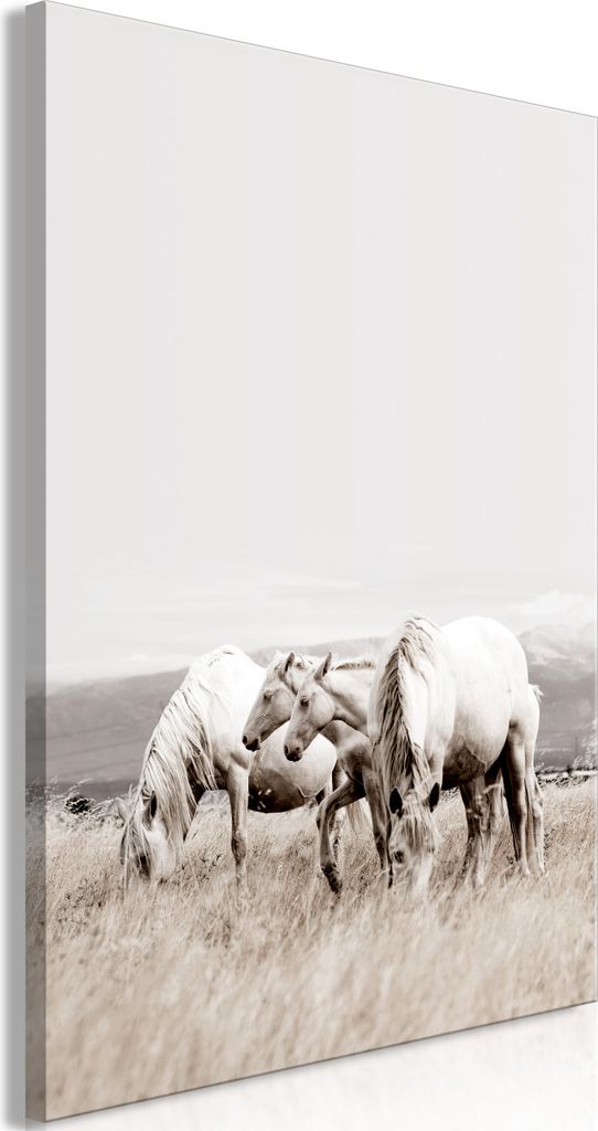 Italienischer Leinwand Leinwandbild - White Horses (1 Part) Vertical 60x90 cm Tiere g-B-0231-b-a
