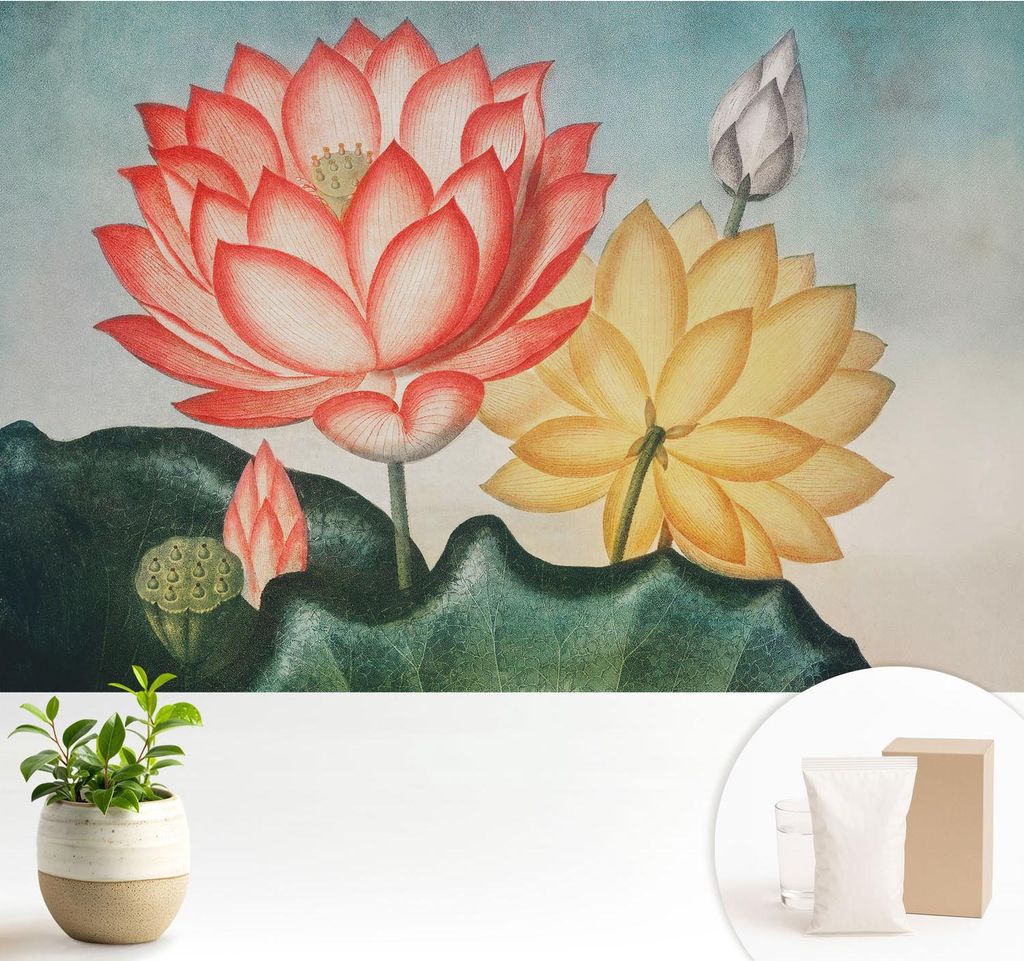 Fototapete - 104x70 cm - Tapete - Wandtapete - Wandbilder - Dekofolie - Tapete Folie - Wand - Dekoration - Wohnzimmer - Lotusblumen