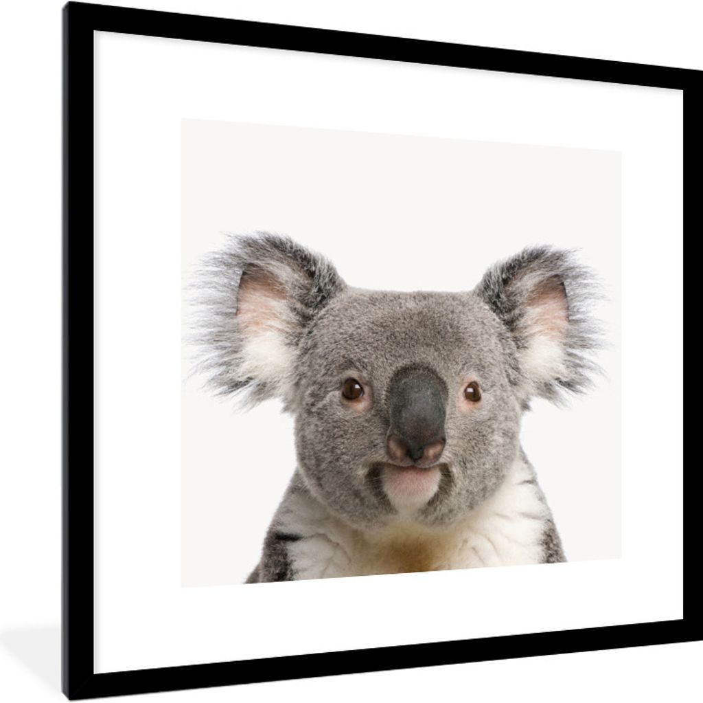 MuchoWow Gerahmtes Poster Koala - Koala Bär - Mädchen - Jungen - Tiere 40x40 cm - Poster mit Schwarzem Bilderrahmen Wandposter Rahmen Foto Bild...