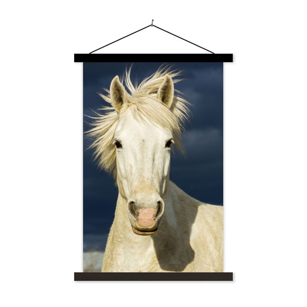 MuchoWow Textilposter Pferd in der Camargue 40x60 cm mit schwarzem Rahmen - Wanddekorationen
