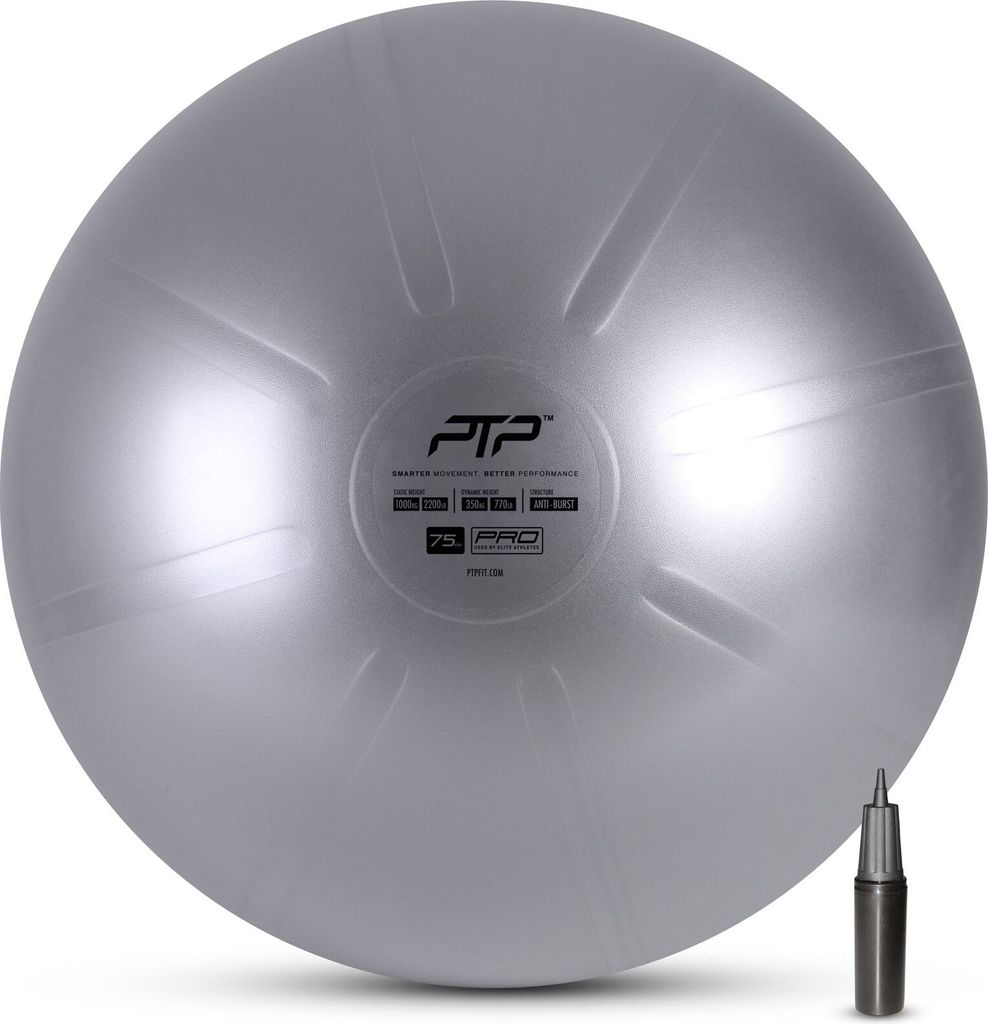 PTP CoreBall grigio acciaio 75 cm Immagine del prodotto 