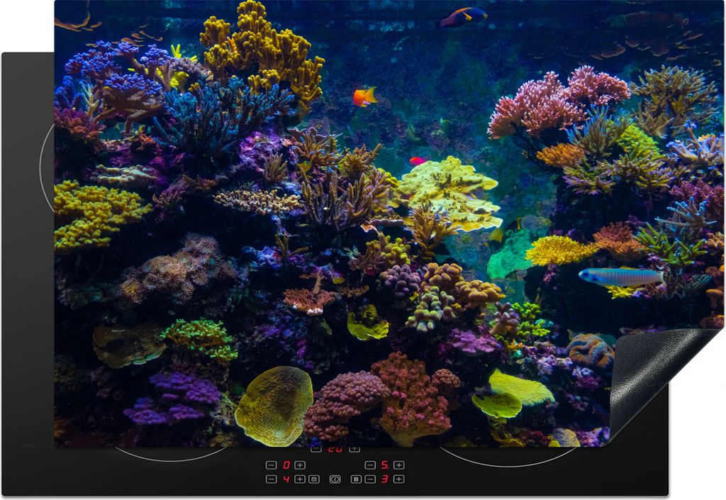 KitchenYeah Herdabdeckplatte Koralle - Farben - Fisch , 77x51cm, Küche Deko, Glaskeramikkochfeld Herdabdeckung, Abdeckplatte fùr Kochfeld