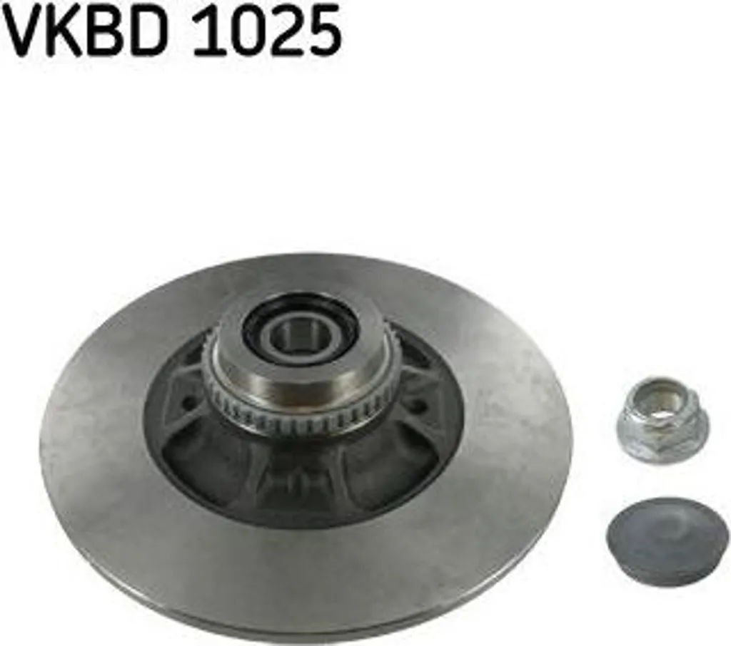 Pièce de Freinage pour Renault Clio et Megane - Disque Arrière SKF VKBD
