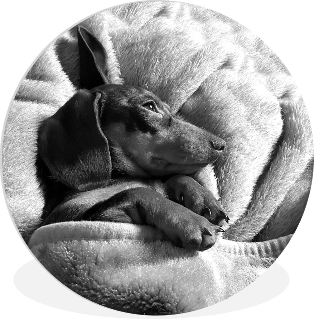 MuchoWow - Wand-Kreis - Wohnzimmer - Bild - Runde - Wanddeko - Dibond - Kunstdrucke