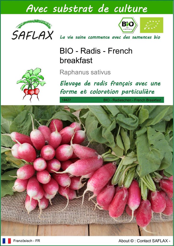 SAFLAX  -- Radis - French breakfast - 150 graines - Avec Image du produit 