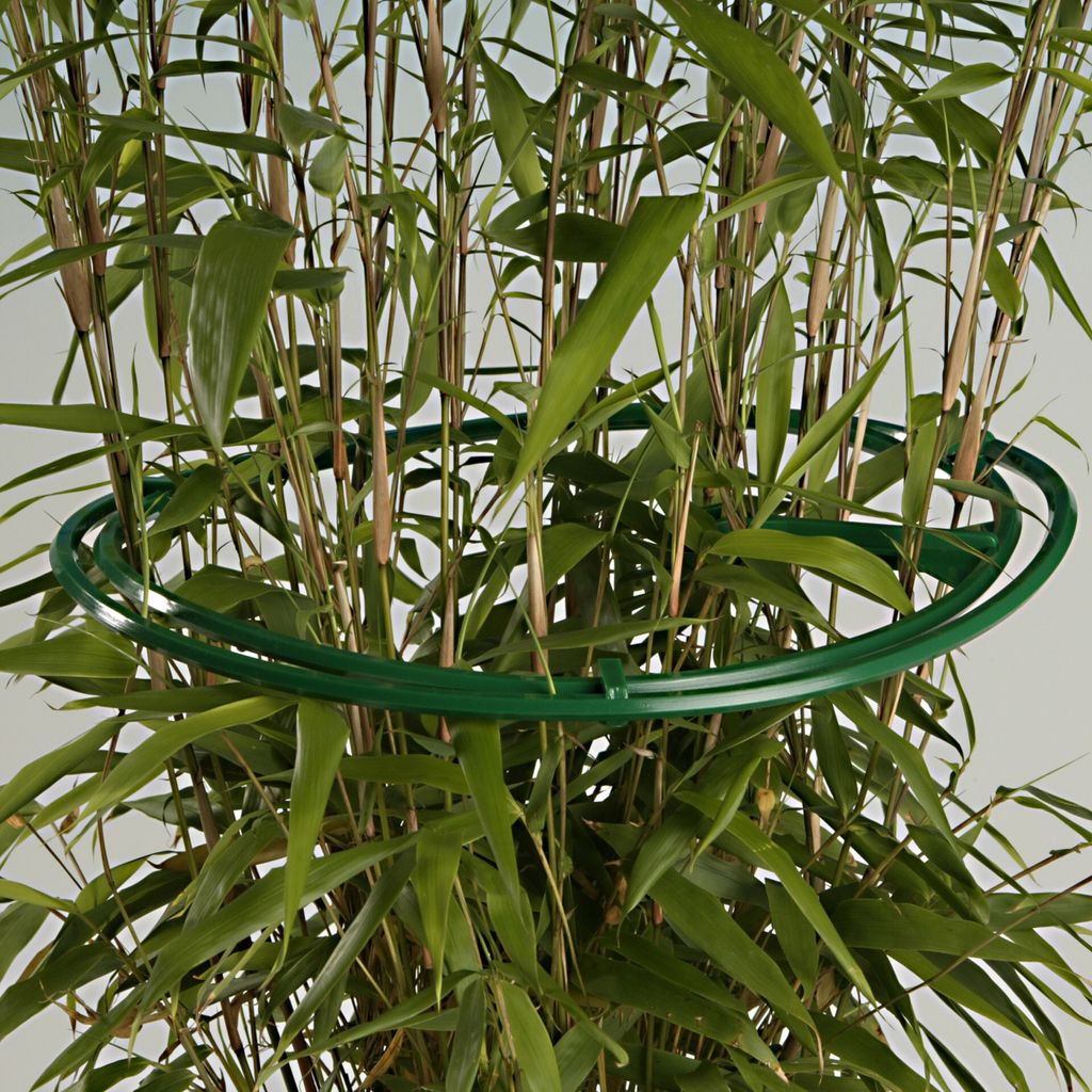XCLOU GARDEN Pflanzenstütze / Staudenring - Grün, 70 Cm Hoch, Für Garten & Balkon