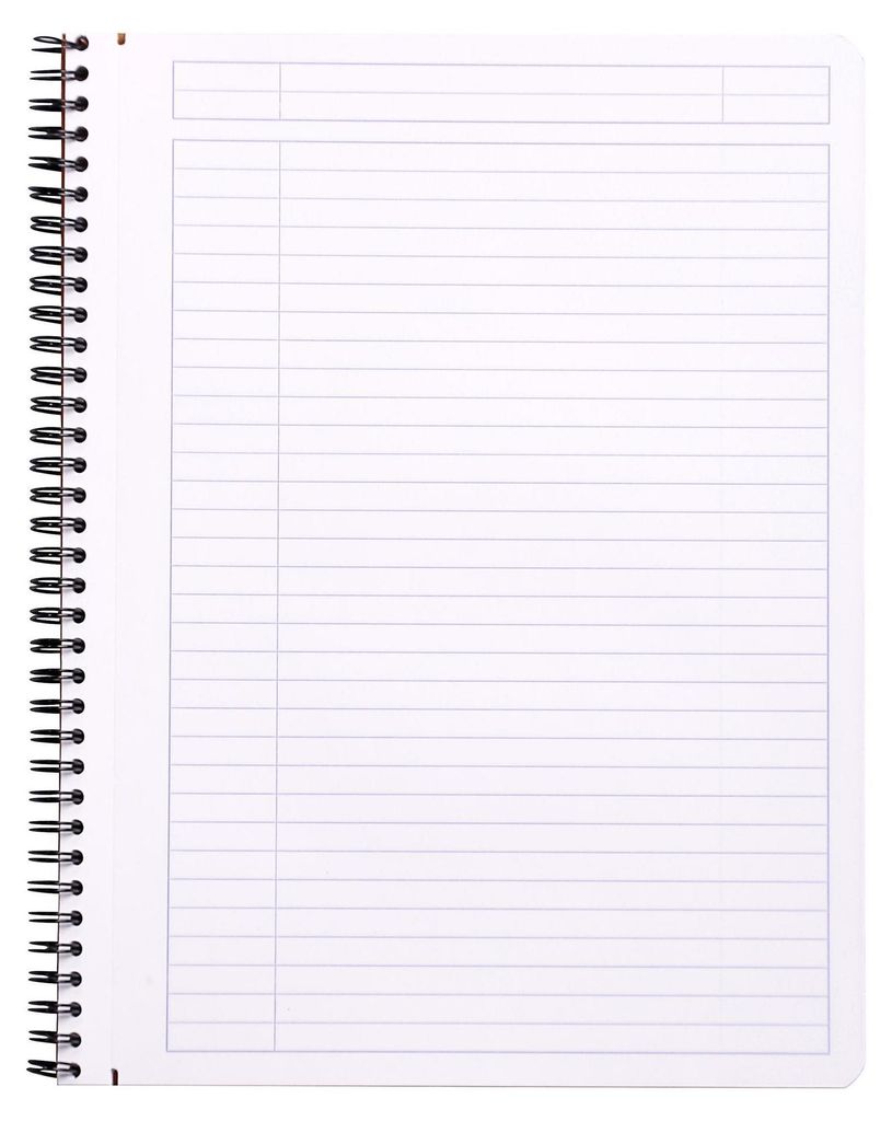 Rhodia Notizbuch, Spiralbindung, liniert, 22,5 x 29,7 cm, orange