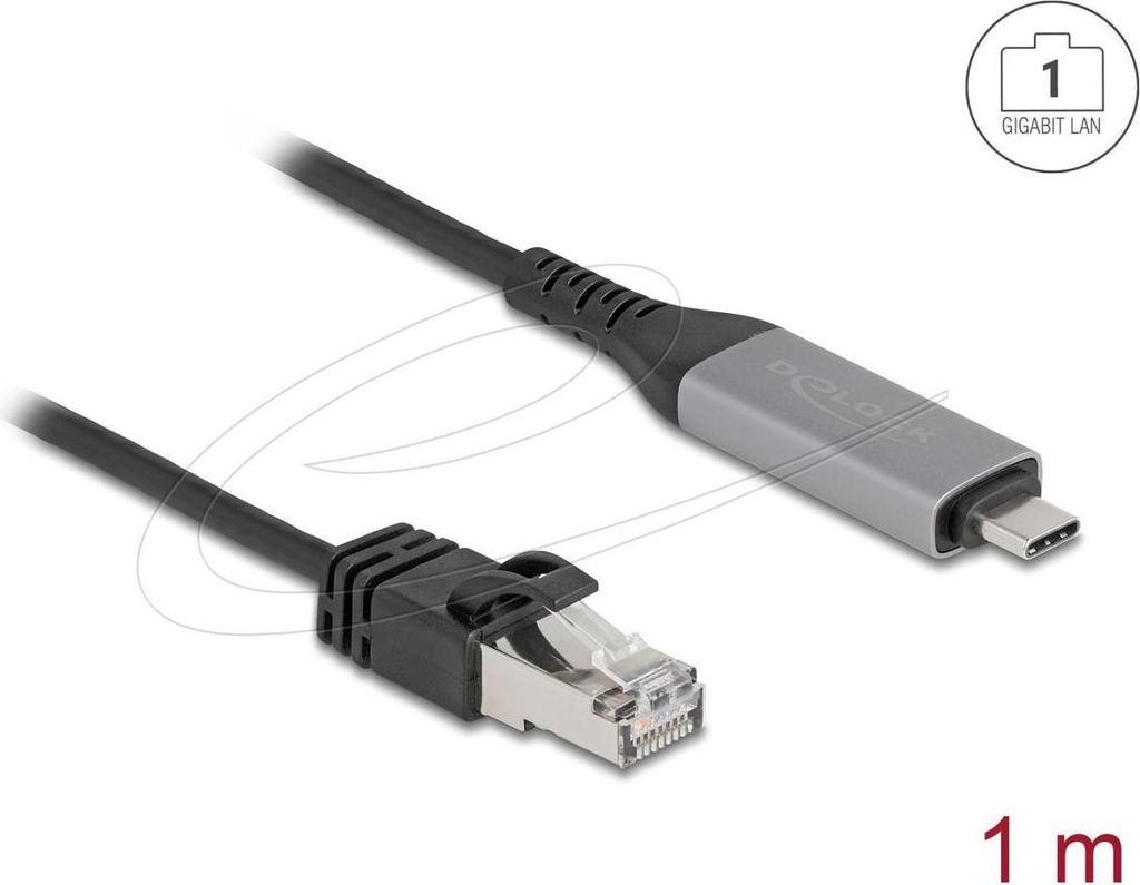 Delock USB LAN Kabel USB Type-C zu RJ45 Gigabit Ethernet 1 m