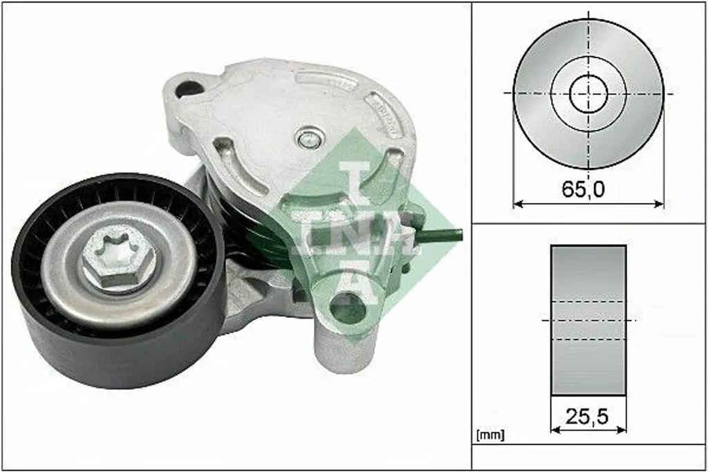 INA 534 0571 10 Tendeur de Courroie Trapézoïdale pour BMW et Mini