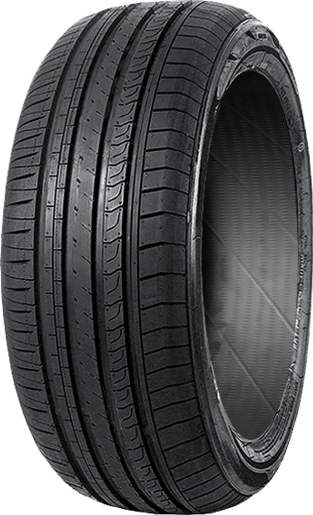 Minerva F209 ( 205/50 R16 91W XL )
