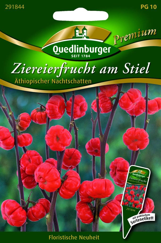 Quedlinburger Saatgut - Ziereierfrucht am Stiel - Samen - 291844