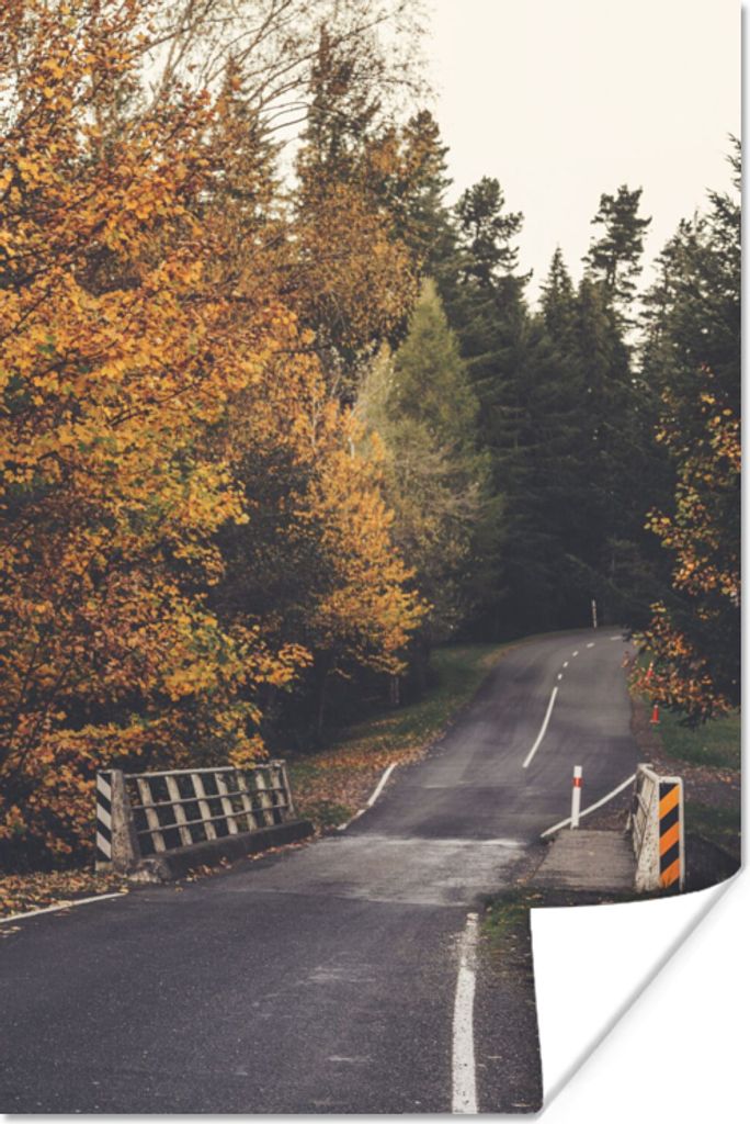 MuchoWow Poster Bäume - Straße - Herbst 120x180 cm - Kunstposter