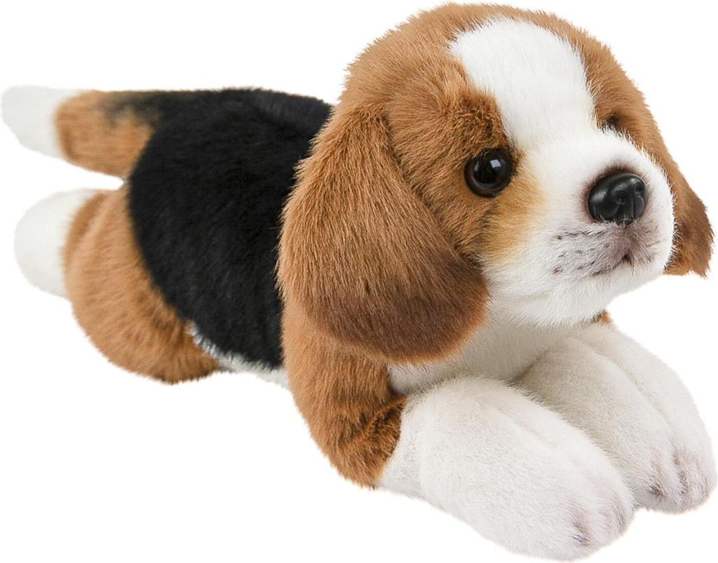 A plush toy beagle dog lying down on a white background.
