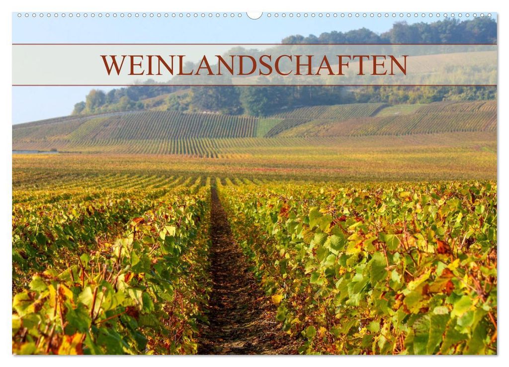 Weinlandschaften (Wandkalender 2027 DIN A2 quer), CALVENDO Monatskalender