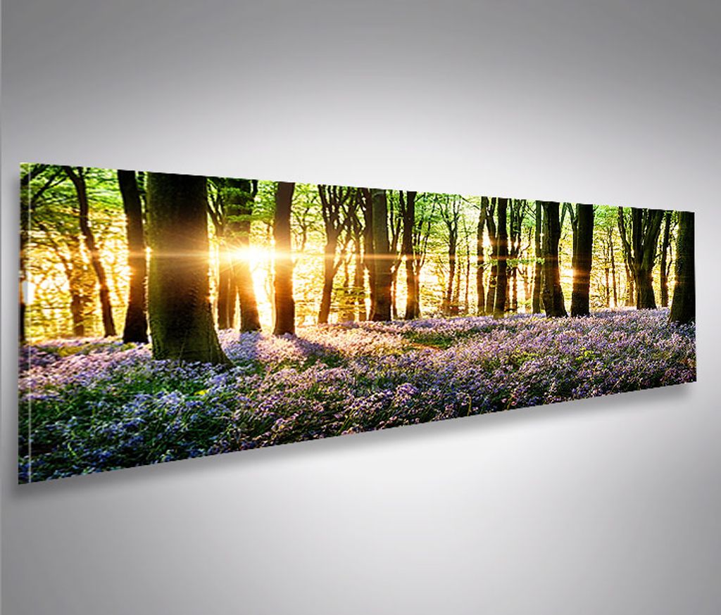 Leinwand-Bilder 100x50 Wandbild Canvas Kunstdruck See Steine Wald Landschaft 