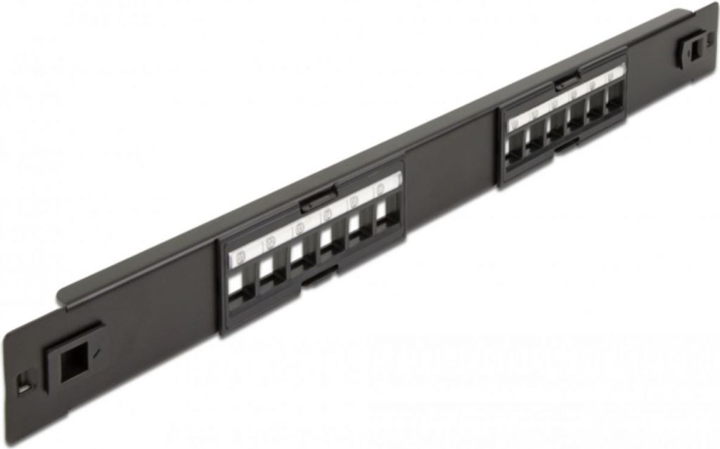 DELOCK 19" Keystone Patchpanel 12 Port werkzeugfrei