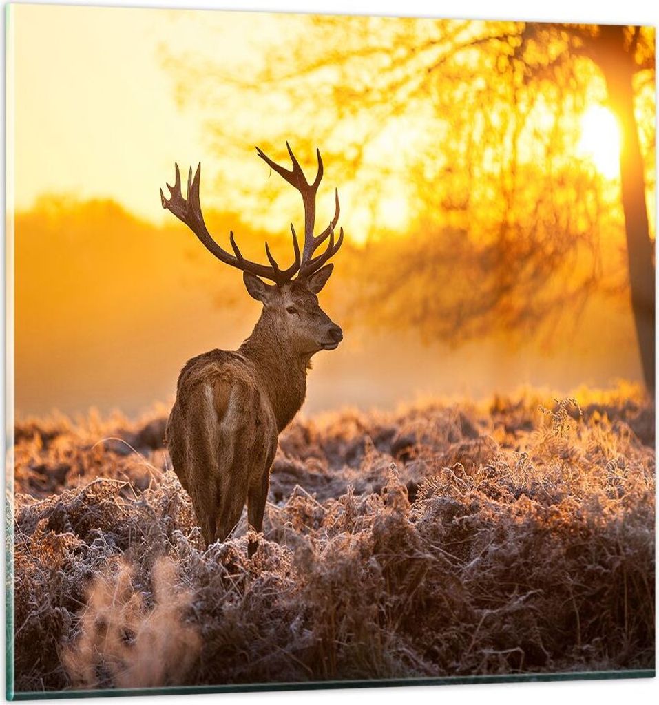 Bilder auf glas - Herbst landschaft natur blatt - 30x30cm - Glasbilder - Wandbilder - Kunstdruck - zum Aufhängen bereit - Wanddekoration aus Glas ...