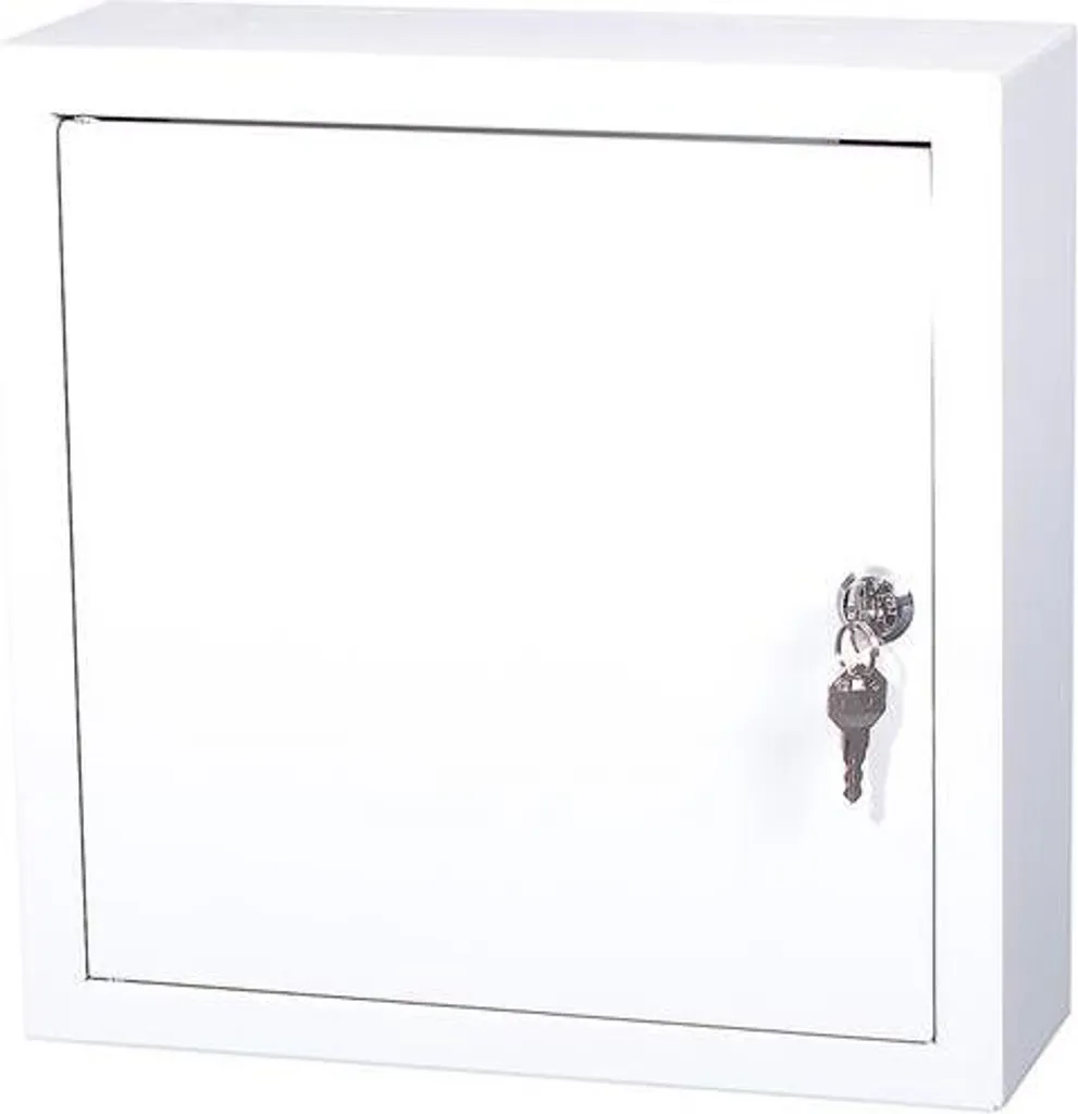 Armoire de montage IB 300x300x100 mm TPR-3 en acier IP66 gris clair