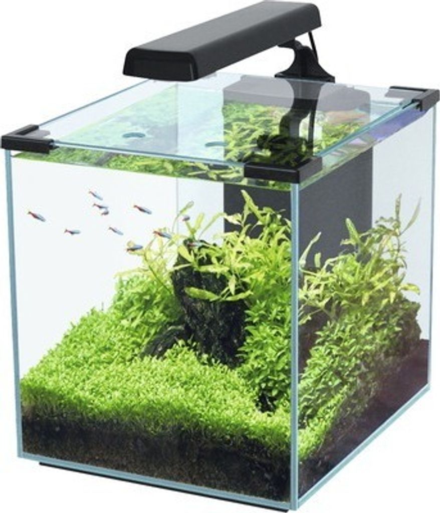 Aquarium aquatlantis Nano Cubic 30 mit Frostglasrückseite, LED-Beleuchtung, Filter, Heizer, Pumpe schwarz (ohne Schrank)