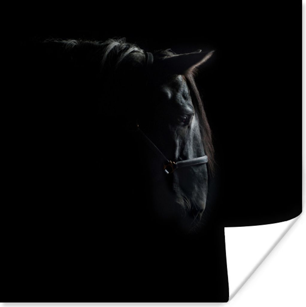 MuchoWow Poster Pferd - Leicht - Schwarz 100x100 cm - Babyzimmer