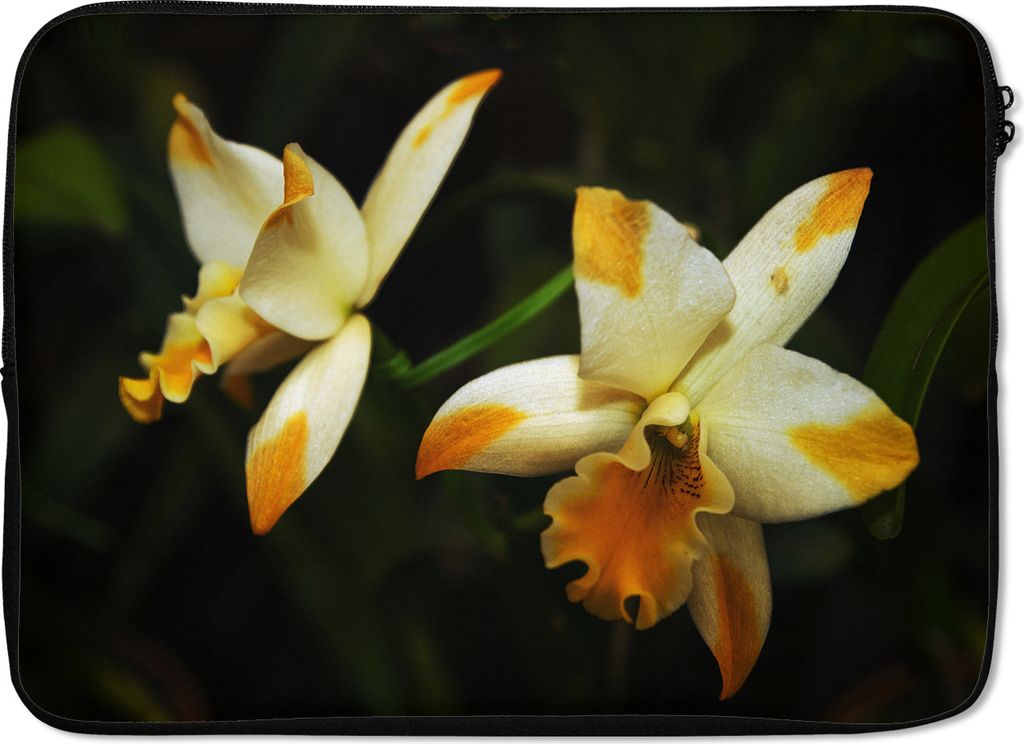 MuchoWow Laptop Hülle 13 Zoll Zwei Orchideenblüten Laptoptasche - Laptophülle - Sleeve - Rundumschutz