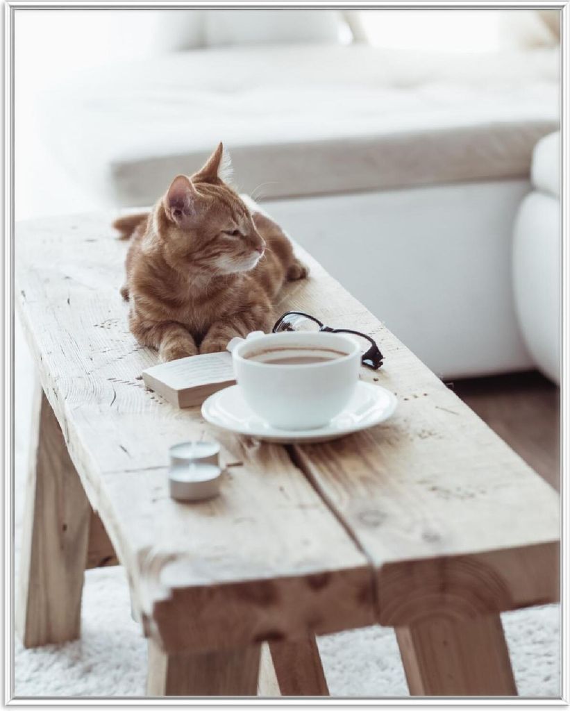 Wallario Wandbild Süße rot getigerte Katze beim Kaffee, Größe: 40,30 x 50,30 cm, Poster mit weißem Aluminiumrahmen