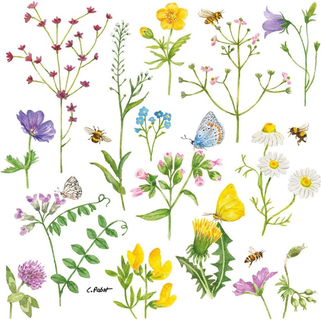 Servietten 33x33 cm - Cornflowers