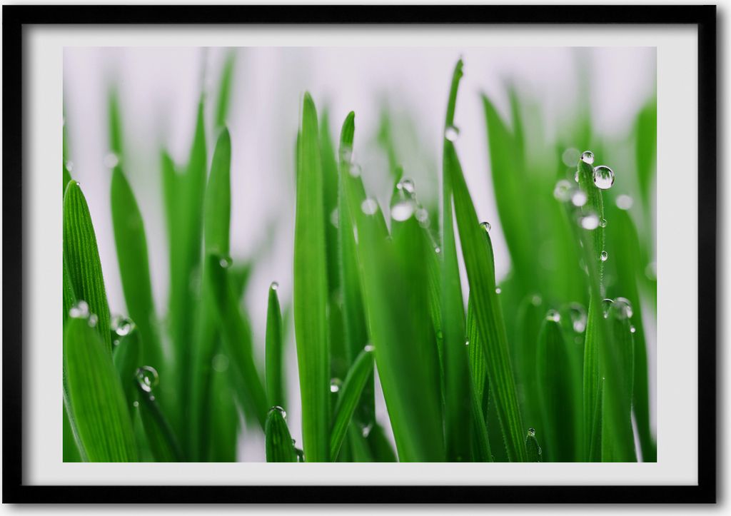 Bild - Bilderrahmen - 100 cm x 70 cm - MDF - Rahmen - Foto - Wandkunst Grashalme