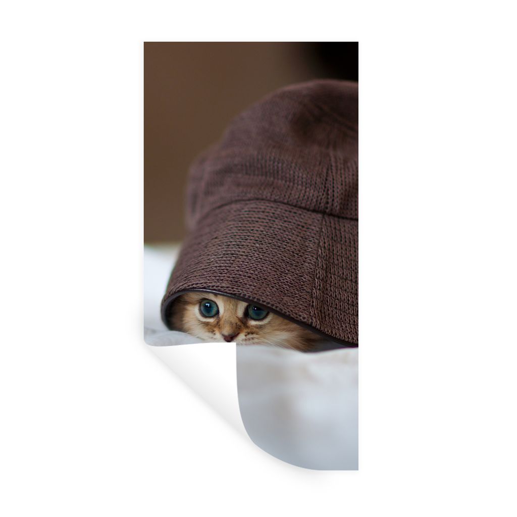 MuchoWow Wandtattoo Wandsticker Wandaufkleber Ein persisches Kätzchen, versteckt unter einem Hut 40x80 cm Selbstklebend und Repositionierbar - R...