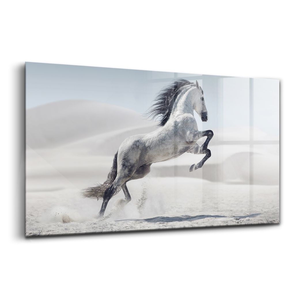 Glasmalerei - dekorative Malerei - moderne Malerei - 100x50 - Galoppierendes weißes Pferd