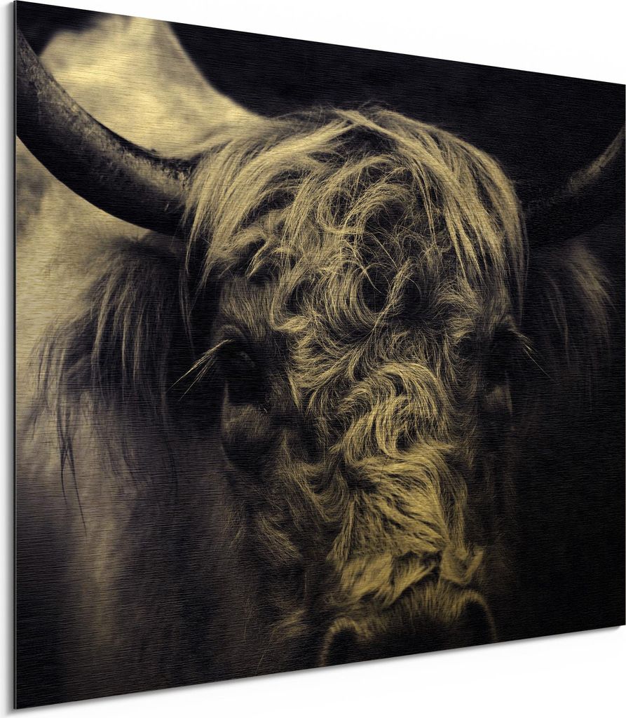 DEQORI Alu-Dibond Bild Gold 80x60 cm 'Das stille Rind' Wandbild Metall dünn Design
