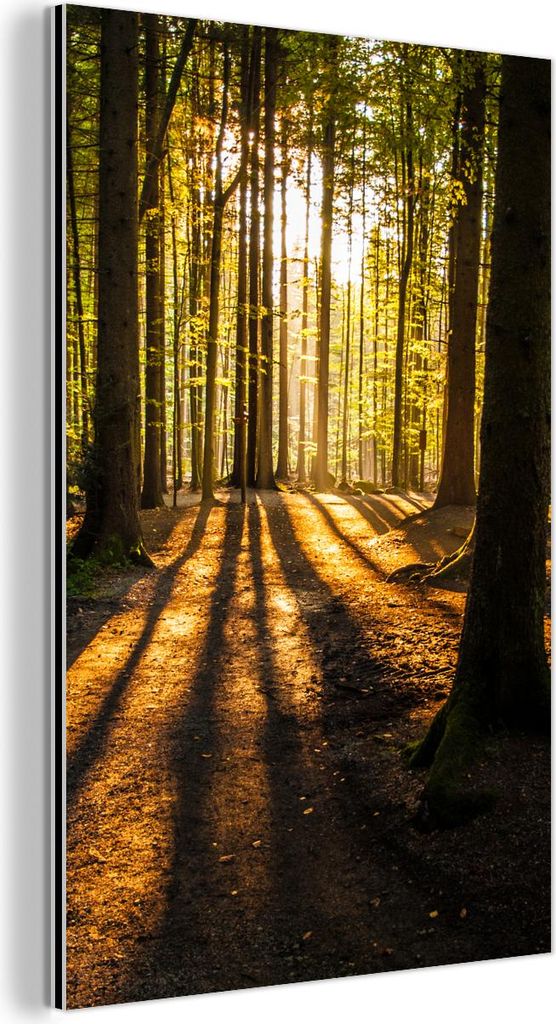 MuchoWow Wanddekoration Metall Metallbild Wandkunst 60x90 cm Sonne - Bäume - Wald - Landschaft - Natur MuchoWow Aluminium Gemälde - Wandbilder - ...