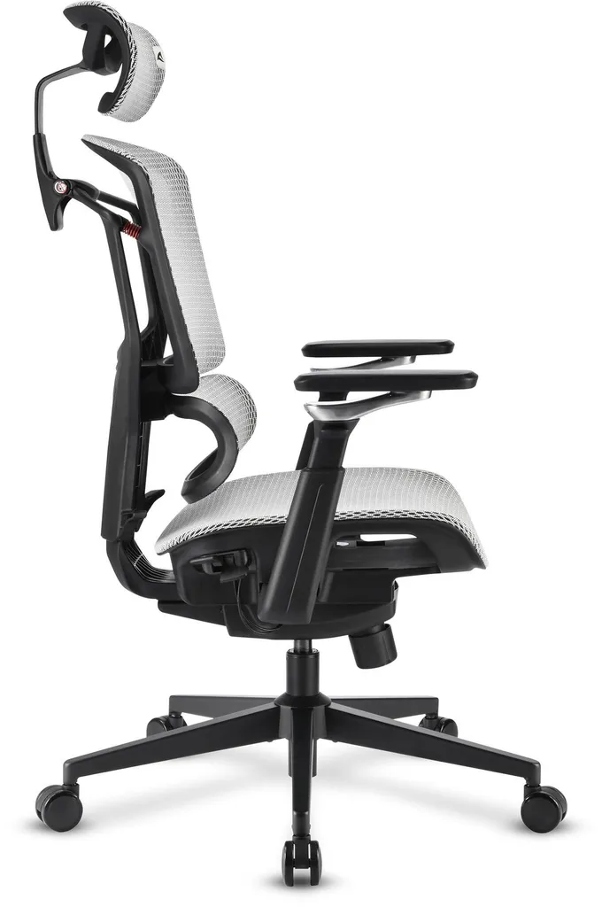 Sharkoon OfficePal C50M Gris - Chaise de bureau ergonomique performante