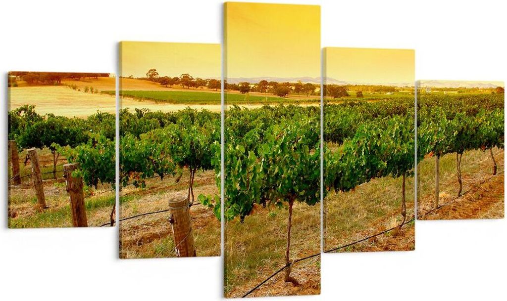 Bild auf Leinwand - Leinwandbild - Landschaft Weinberg Sonnenuntergang - 125x70cm - Wand Bild - Wanddeko - Leinwanddruck - Bilder - Kunstdruck - Le...