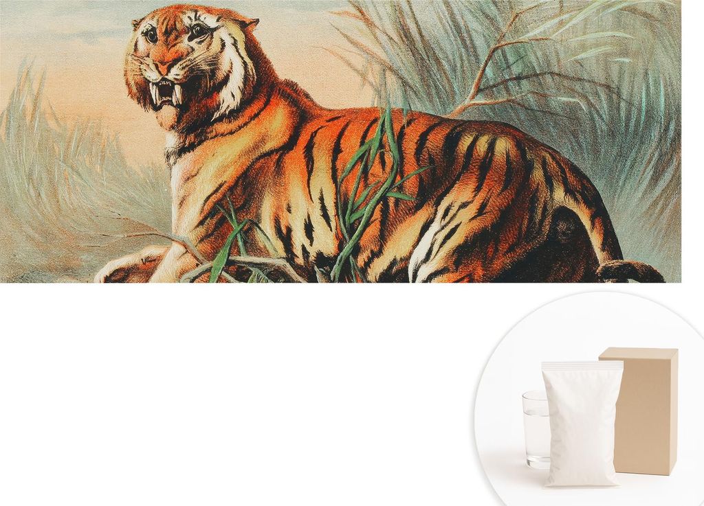 Fototapete - Wandbilder für Wohnzimmer - 208x146 cm - Dekorative Wandfolie - Modernes Design für Wanddekoration - Tapeten für Innenräume - Tige...