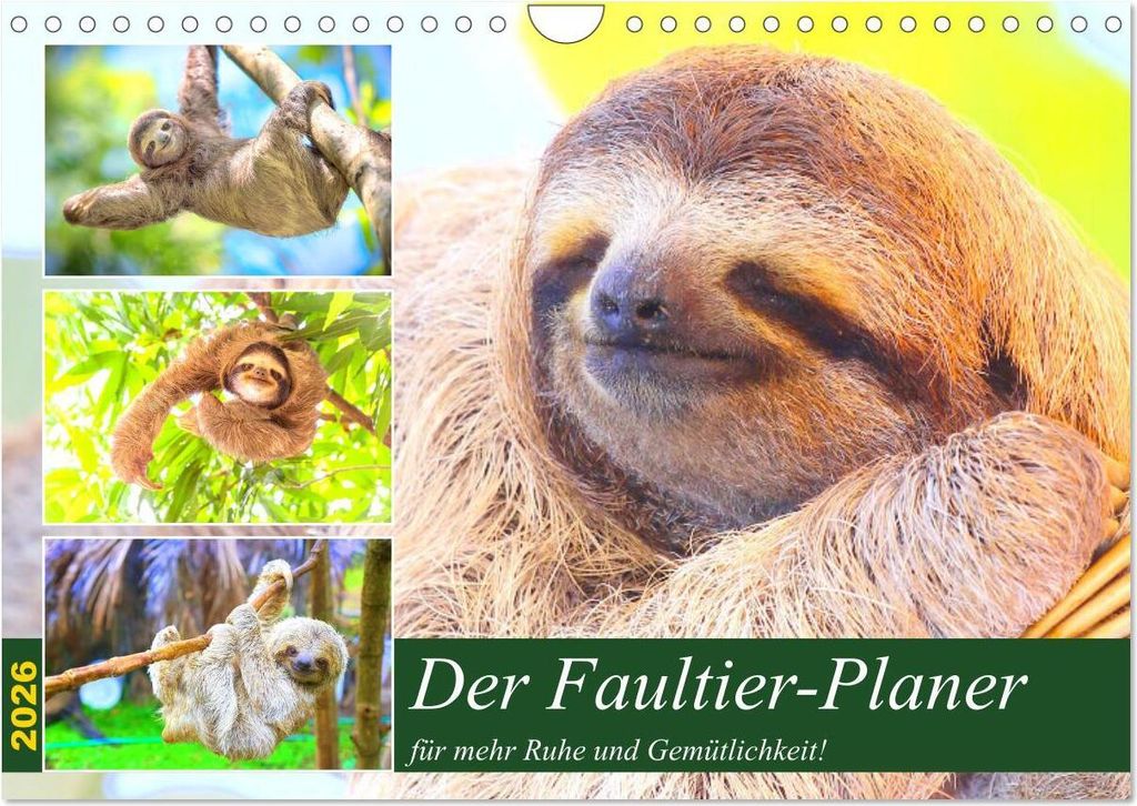 Der Faultier-Planer für mehr Ruhe und Gemütlichkeit! (Wandkalender 2026 DIN A4 quer), CALVENDO Monatskalender